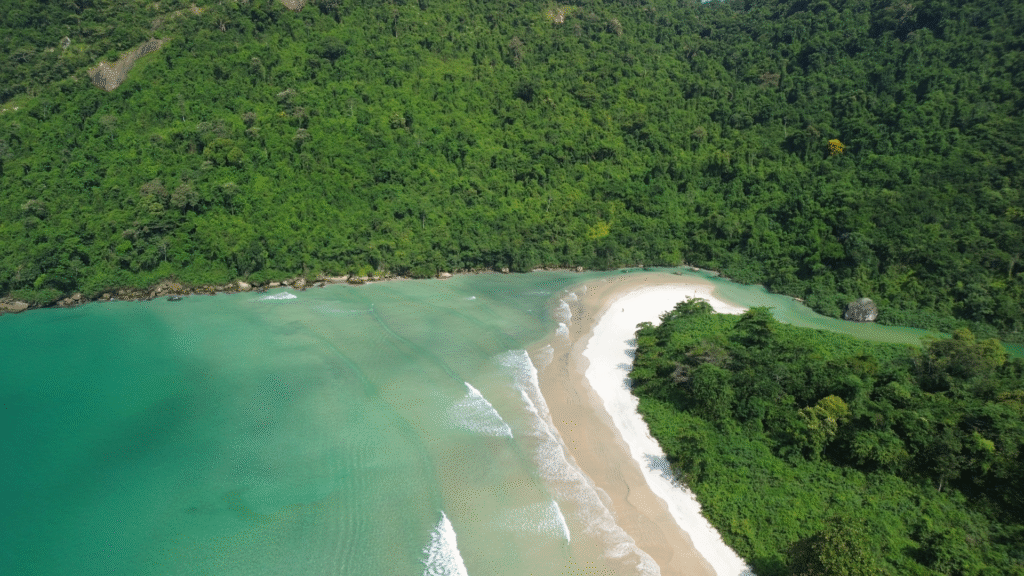 Top Transfer - Dois Rios, Ilha Grande
